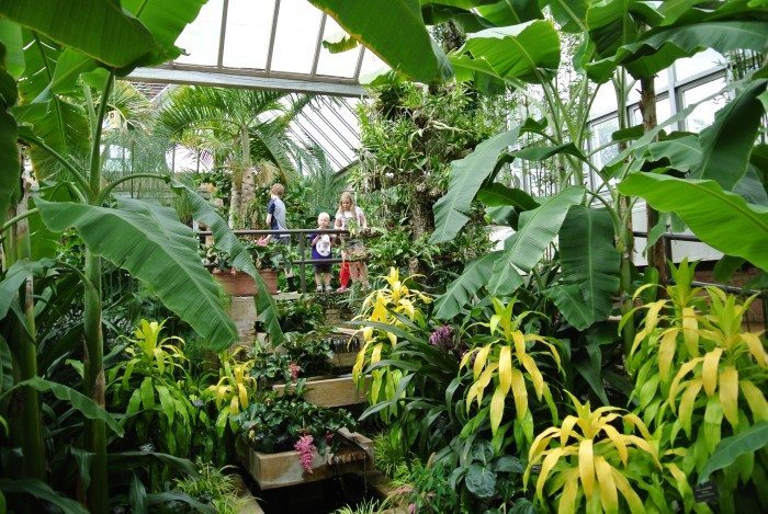 Botanic Gardens 023