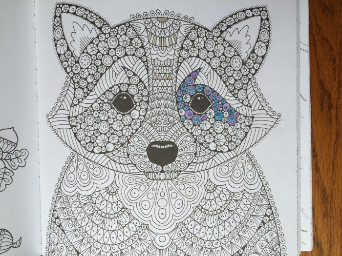 Raccoon in Wonders of Creation Coloring Book