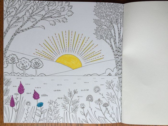sun over field