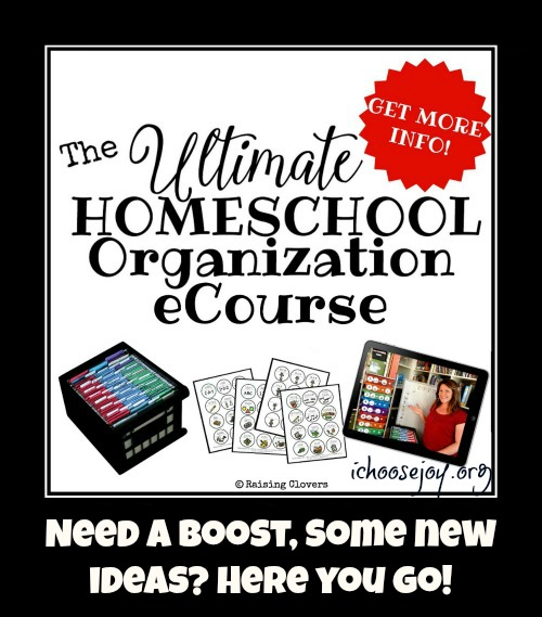 Ultimate Homeschool Organization eCourse review
