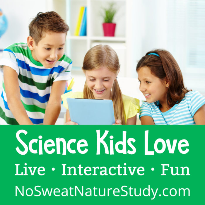 No Sweat Nature Study Live is brand new and starts next week! There are 3 ways to join: monthly, quarterly, and yearly. You'll get LIVE 30-60 minute, nature-based science lessons twice a month taught by the awesome Cindy West! #naturestudy #science #ourjourneywestward #ichoosejoyblog