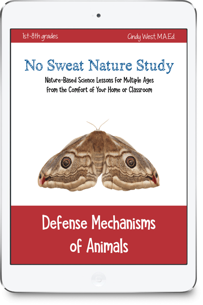 No Sweat Nature Study about Defense Mechanisms of Animals from Our Journey Westward, a great science curriculum