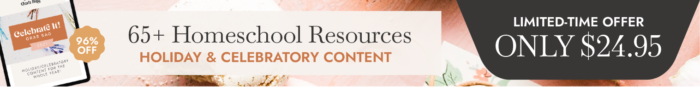 Celebrate It! Grab Bag for holiday teaching resources 